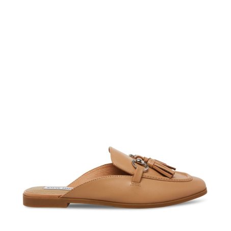 Brown Steve Madden Cayler Leather Women's Mules | PH 8973TJZ